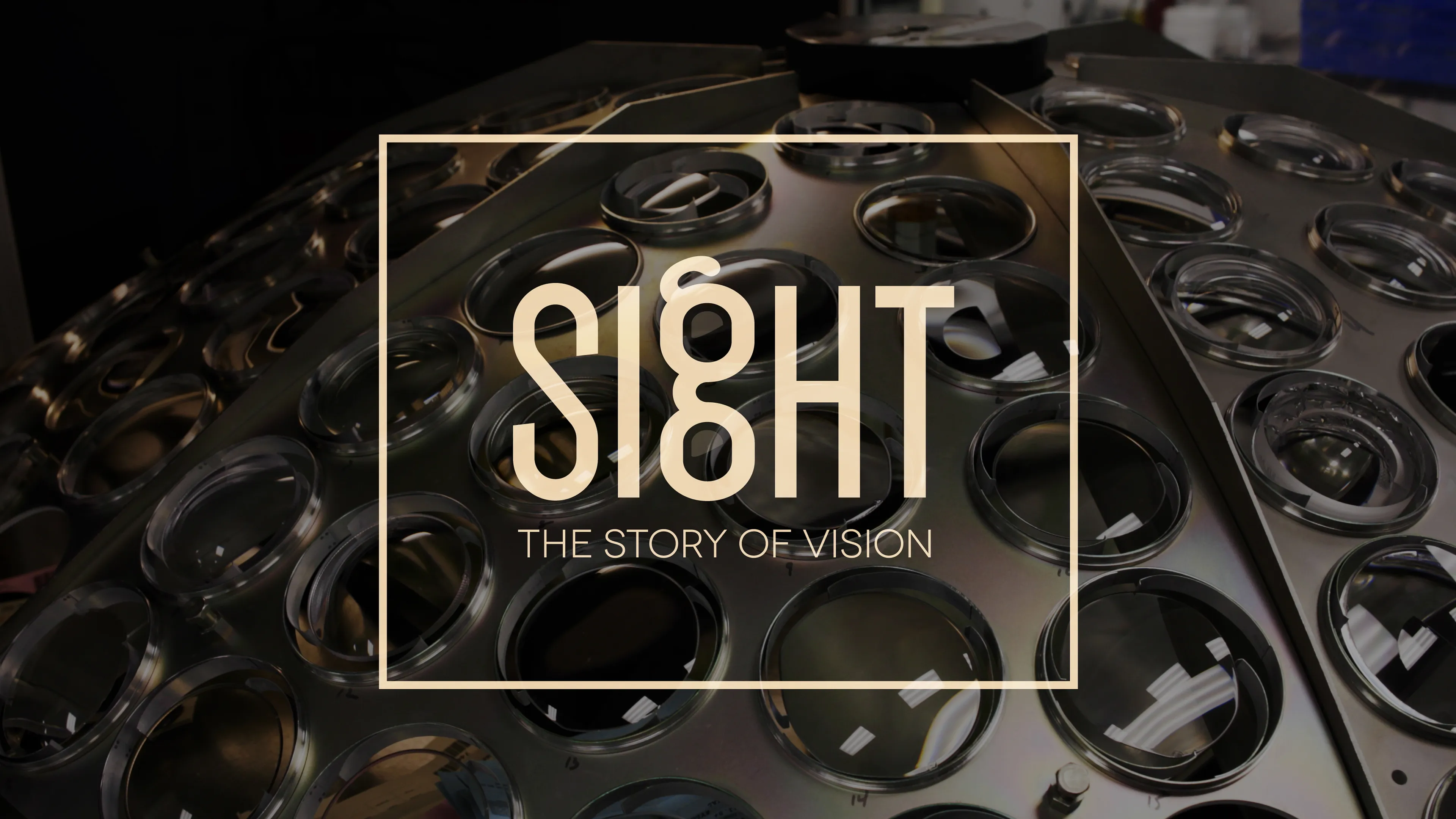 Sight: The Story of Vision poster
